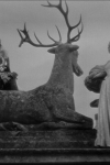 La belle et la bête de Jean Cocteau